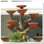 Fountain